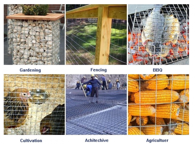 BWG23 Hayvan Kafesi 1/2 inç Paslanmaz Çelik Kaynaklı Hasır 201 Sınıfı 1
